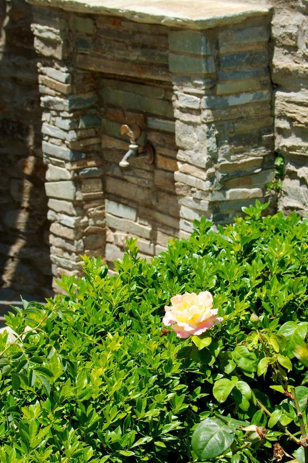 Villa View Studios Andros Town Ngoại thất bức ảnh